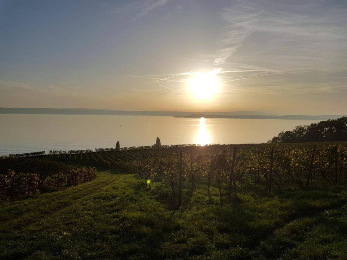 Schoene Stadtwohnung In Friedrichshafen Am Bodensee Kültér fotó
